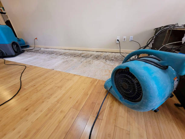 Professional Flood Damage Cleanup technician working in Lebanon, MO